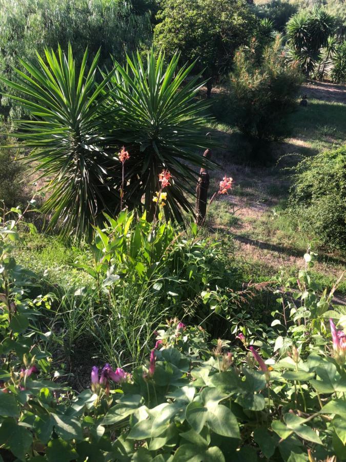 Finca El Rio,, La Casita One Of 2 Self Catering Studios. Pool And Hydrotherapy Jacuzzi Malaga Ngoại thất bức ảnh